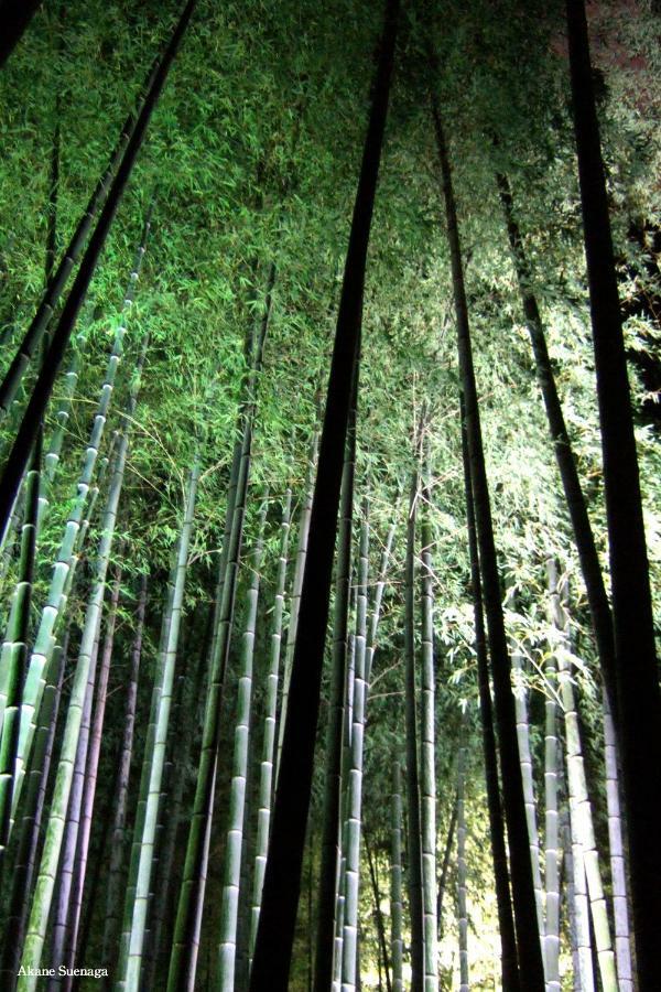 Kyoto Home Yoshida Экстерьер фото