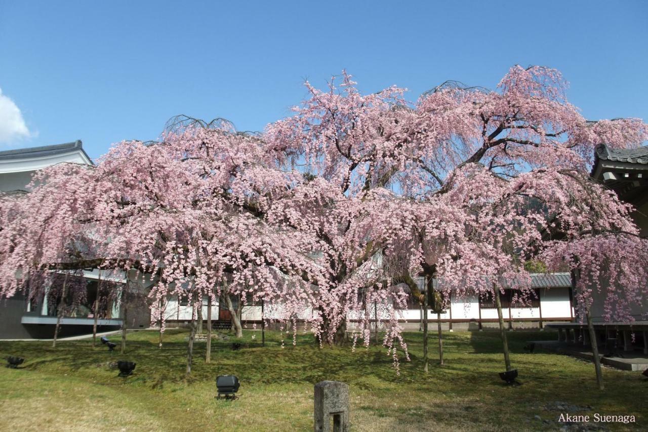 Kyoto Home Yoshida Экстерьер фото